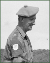 Portrait of Field Marshal Archibald James Halkett Cassels