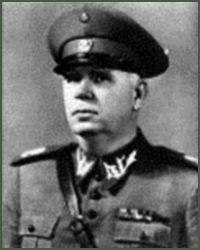 Portrait of Marshal Francisco Gil Castelo Branco
