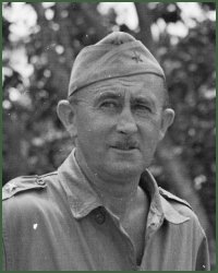 Portrait of Brigadier-General Neal Creighton Johnson