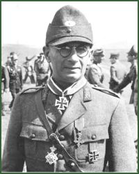 Portrait of Brigadier-General Edgard Rădulescu