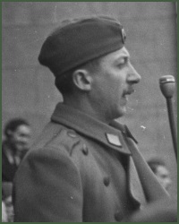 Portrait of Major-General Đurić N. Ljubodrag
