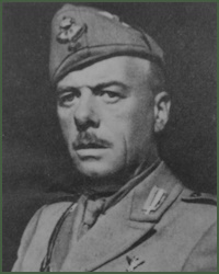 Portrait of Lieutenant-General Carlo Pellegrini