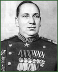 Portrait of Chief Marshal of Artillery Nikolai Nikolaevich Voronov